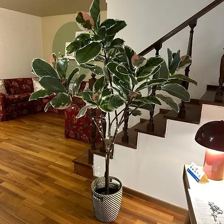 Welcome To Pantheon Rome